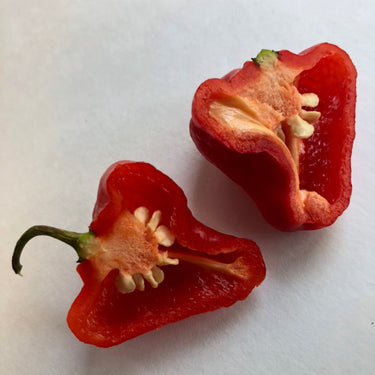 Aji Cachucha - Seeds - The Pepper Pantry (Formerly Marie Sharp's)